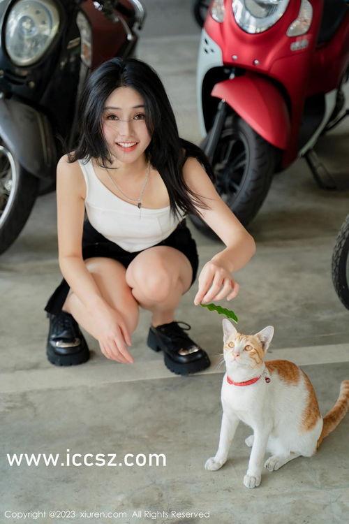 国产在视频线精品视频